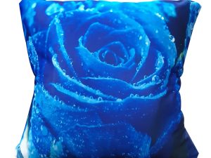 Digital Print Cushion Cover