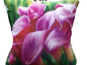 Digital Print Cushion Cover